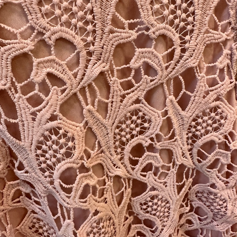 NWT Pink lace dress - Picture 5 of 5